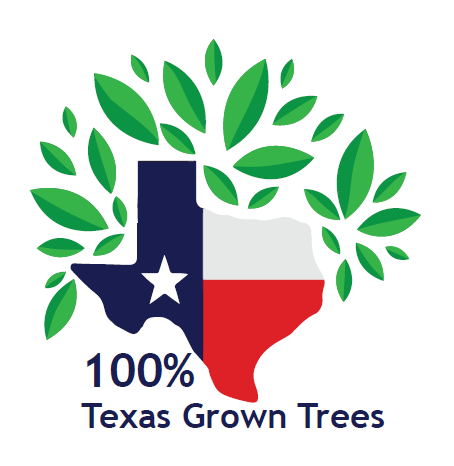 texas-grown-trees